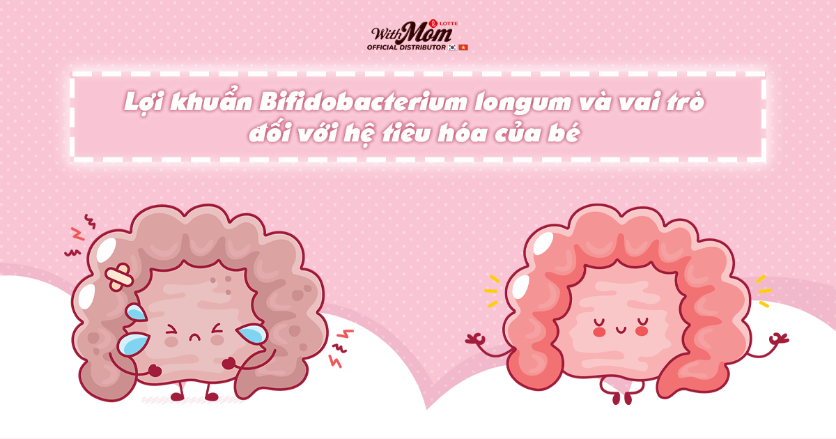 Lợi khuẩn Bifidobacterium longum và vai trò đối với hệ tiêu hóa của bé