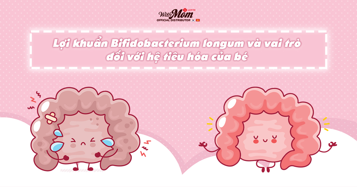 Lợi khuẩn Bifidobacterium longum là gì? Có vai trò như thế nào với hệ tiêu hóa của trẻ nhỏ